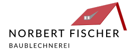 Norbert Fischer Logo Web